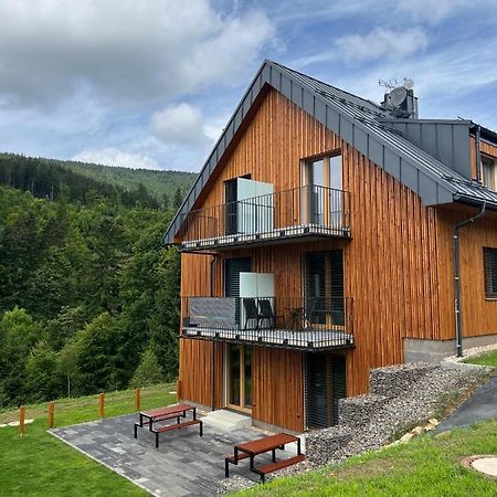 Apartman - Dolni Morava - "Sedmicka" Pro 2 Az 6 Osob ภายนอก รูปภาพ